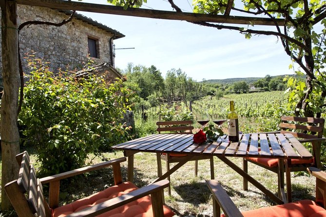 Private tour from Livorno port to Chianti Wine Region - Is the $591.46 price good value?