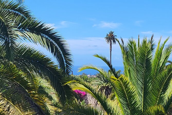 Private Tour from the Port of Las Palmas to Teror Firgas Arucas - What private transport adds to the $232.71 price