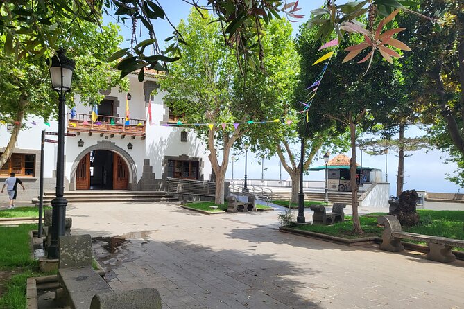 Private Tour from the Port of Las Palmas to Teror Firgas Arucas - Road comfort, timing, and practical limits