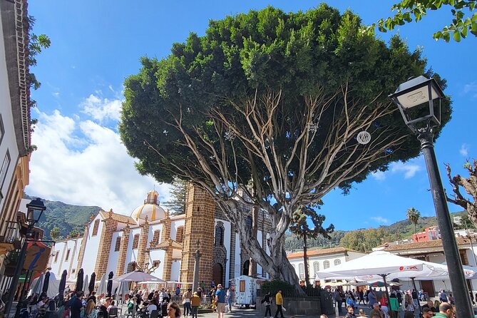 Private Tour from the Port of Las Palmas to Teror Firgas Arucas - FAQ