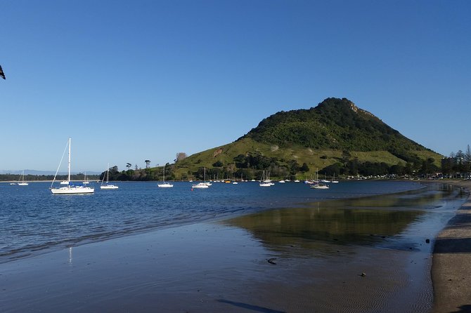 Private Tour Rotorua Shore Excursion up to 8 Passengers - Mount Maunganui begins the day with beach and legend