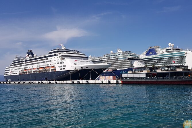 Private Tour to Ephesus, Virgin Mary, and Artemis Temple From Cruise Ship/Hotel - Private transport matters on a cruise day
