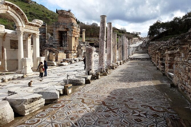 Private Tour to Ephesus, Virgin Mary, and Artemis Temple From Cruise Ship/Hotel - The Ephesus Museum question you should clarify