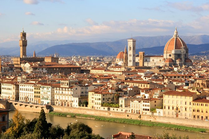 Private tour to Florence and Pisa from Livorno port - What the private vehicle adds