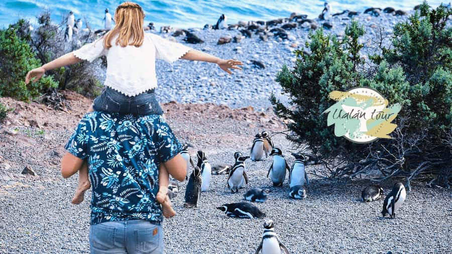Puerto Madryn: Punta Tombo Shore Excursion for Cruise Guests - The two-hour ride south