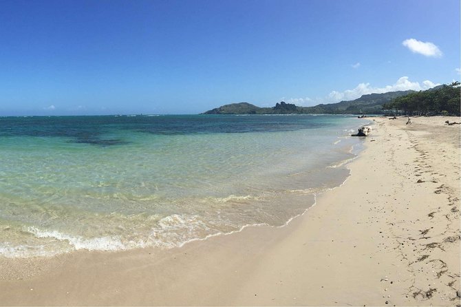 Puerto Plata Shore Excursion: ATV adventure for Amber Cove & Taino Bay Passenger - Key points to know before you book