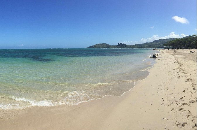 Puerto Plata Shore Excursion: ATV adventure for Amber Cove & Taino Bay Passenger - Practical ways to make the day better
