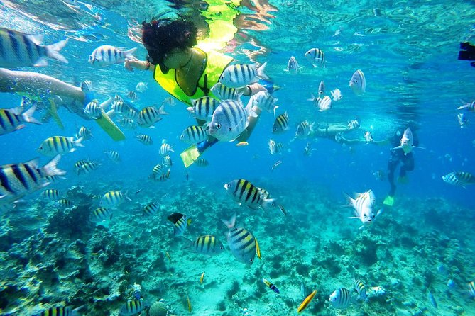 Puerto Plata Shore Excursion, Snorkeling tour & Sosua Beach Day - Two reefs and a full afternoon at Sosua Beach
