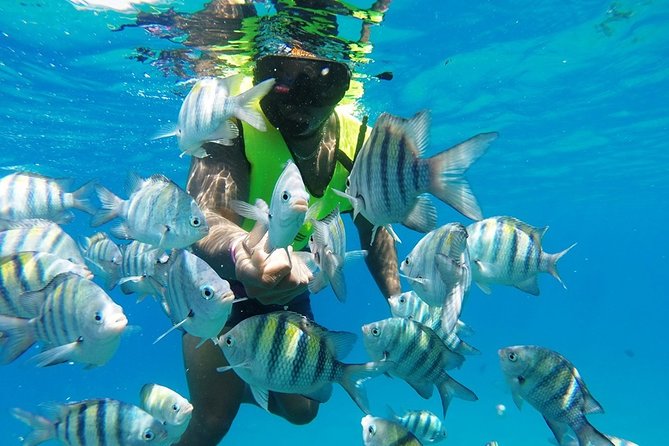Puerto Plata Shore Excursion, Snorkeling tour & Sosua Beach Day - At Eric Tours International, gear and instructions come first