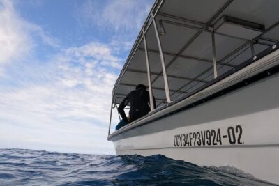 Puerto Plata Shore Excursion, Snorkeling tour & Sosua Beach Day