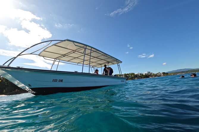 Puerto Plata Shore Excursion, Snorkeling tour & Sosua Beach Day - What the two snorkeling stops are like