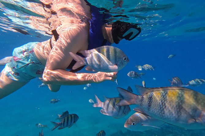 Puerto Plata Shore Excursion, Snorkeling tour & Sosua Beach Day - Is $65.55 a fair price?