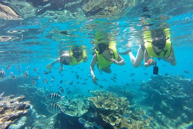 Puerto Plata Shore Excursion, Snorkeling tour & Sosua Beach Day - Who should book this Sosua excursion?