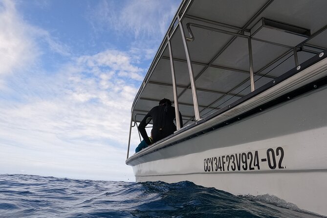 Puerto Plata Shore Excursion, Snorkeling tour & Sosua Beach Day - Getting from Puerto Plata to Sosua