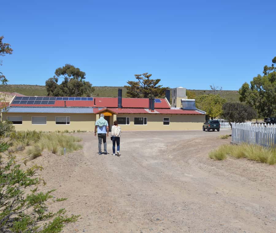 Punta Loma + Ranch Shore Excursion for cruise passengers - The short ride to San Guillermo Ranch