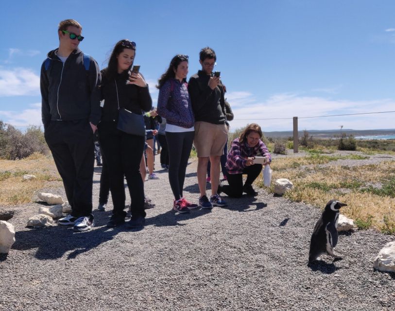 Punta Tombo Cruise Shore Excursion - Walk among penguins - The interpretation center sets the scene