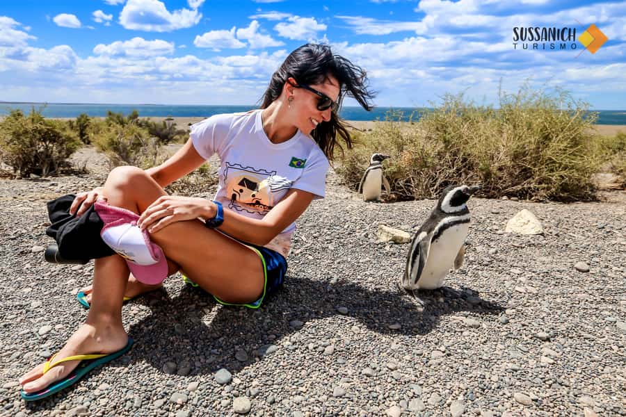 Punta Tombo Shore Excursion for Cruise Passengers + City - About 105 minutes among Magellanic penguins