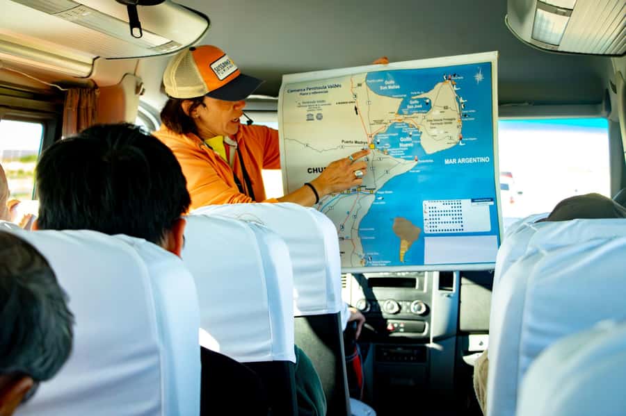 Punta Tombo Shore Excursion for Cruise Passengers + City - The two-hour return and possible Puerto Madryn tour