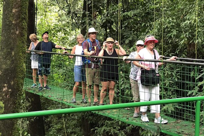 Puntarenas Shore Excursion: Rainforest Skywalk & Tarcoles River - Transport, guides, and the cruise-port timetable