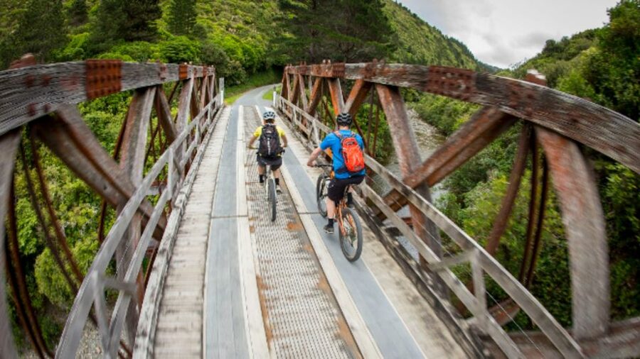 Remutaka Rail Trail eBike Shore Excursion for Cruise Ships - What the $131 price includes