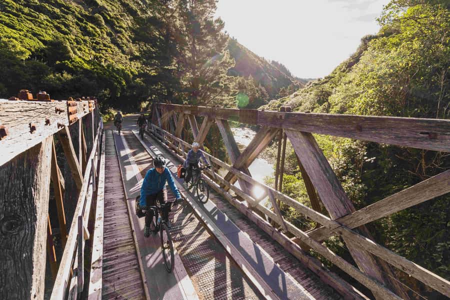 Remutaka Rail Trail eBike Shore Excursion for Cruise Ships - Who will enjoy this ride most