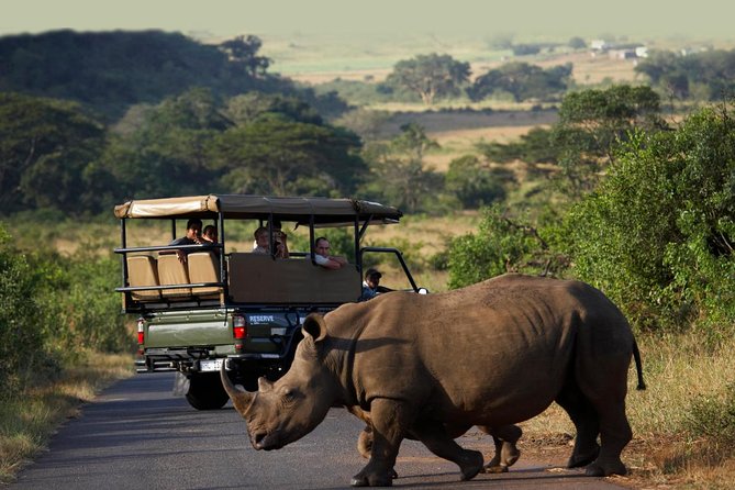 Richards Bay Shore Excursion: Private Small Group Hluhluwe Safari - Quick facts for your safari decision