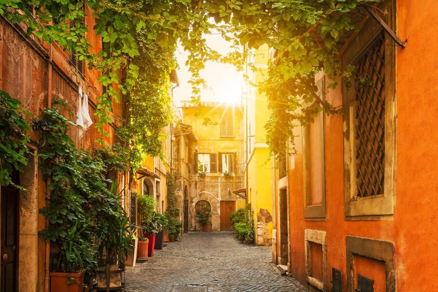 Rome: Full-Day Shore Excursion from Civitavecchia Port - How much walking should you expect?