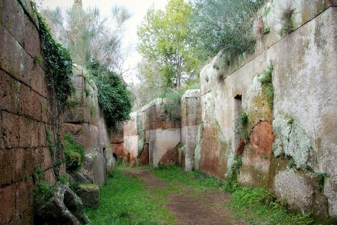 Rome's Enchanting Countryside Port Tour(Driver Only/Self Touring) - Timing, comfort, and the shape of the day