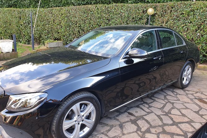 Rome Shore Excursion: Pre-Cruise Private Sightseeing Tour Including Civitavecchia Port Drop-Off - Palatine Hill gives the ancient center a wider view