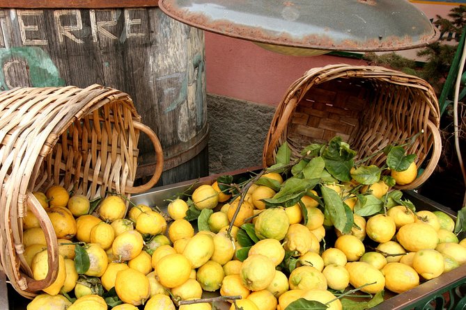 Round Trip Cinqueterre Shore Excursion from Livorno Port - The 4:30 p.m. deadline in La Spezia