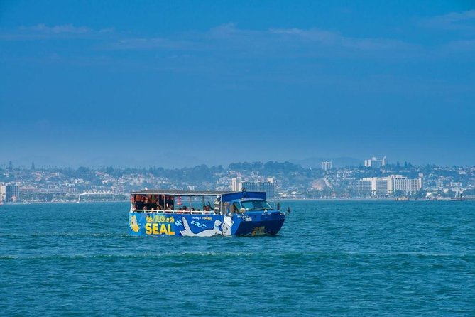San Diego Shore Excursion: San Diego Seal Tour - The big appeal: one seat, two kinds of San Diego