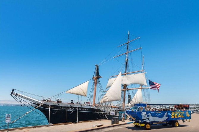 San Diego Shore Excursion: San Diego Seal Tour - What the experience is like for families and mixed groups