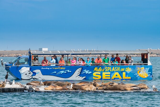 San Diego Shore Excursion: San Diego Seal Tour - Starting at Seaport Village near the cruise ships