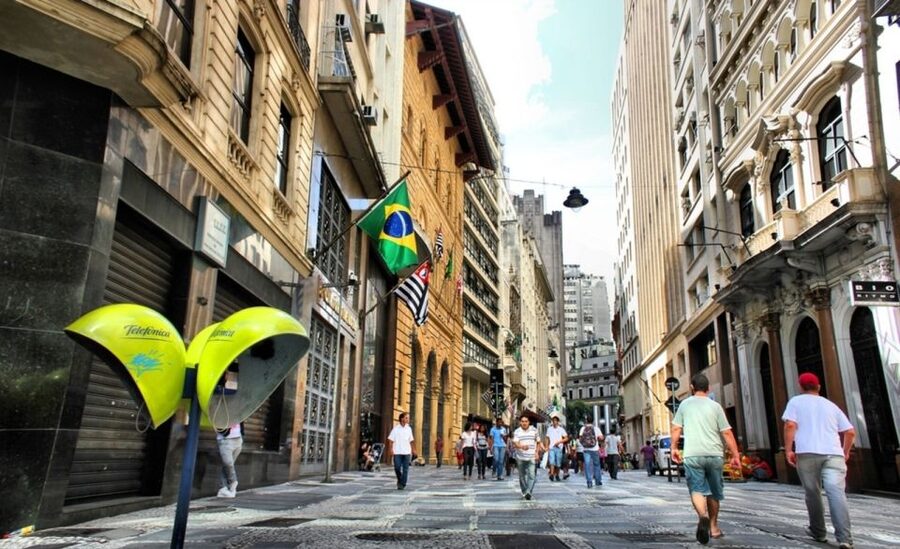 São Paulo: Full-Day Guided City Tour from the Port of Santos - Ibirapuera Park gives the city room to breathe