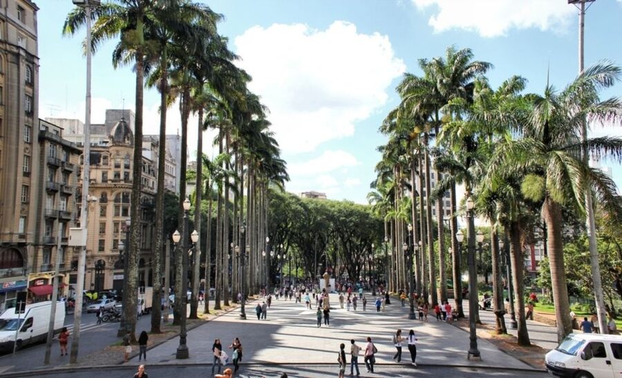 São Paulo: Full-Day Guided City Tour from the Port of Santos - Who should book this São Paulo day trip?