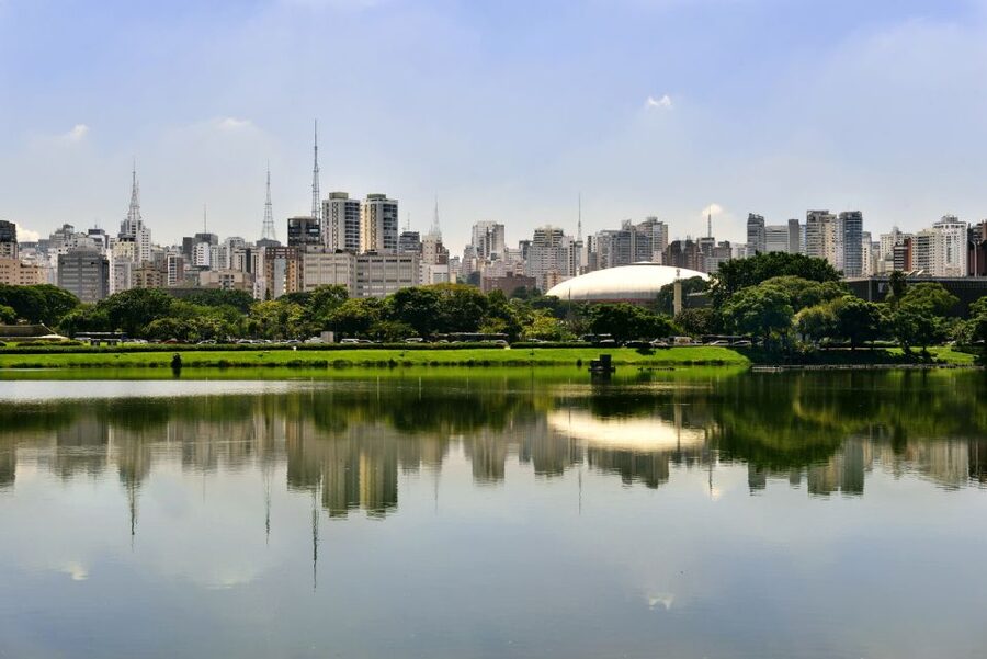 São Paulo: Full-Day Guided City Tour from the Port of Santos - Liberdade brings Japanese São Paulo into view