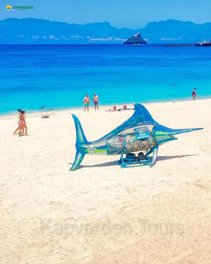 São Vicente: Highligts tour for cruise ship travelers - A full-island introduction from Mindelo