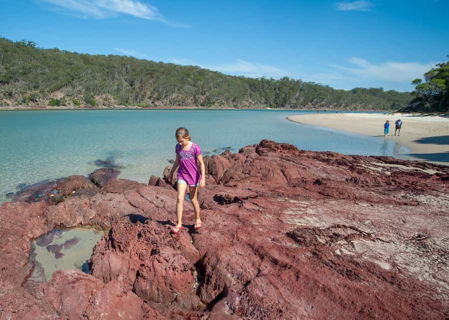 Sapphire Coast: 7h Shore Excursion with Aussie Morning Tea - What makes Sam’s guiding useful