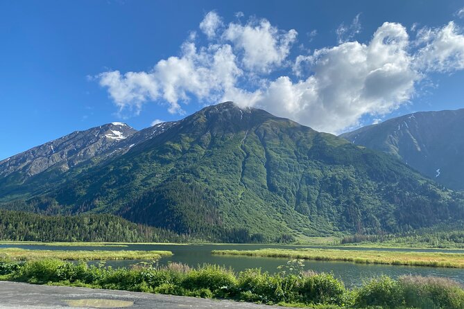 Seward: To Anchorage Full Day Transit Tour with Port Pickup - Key points to know before booking