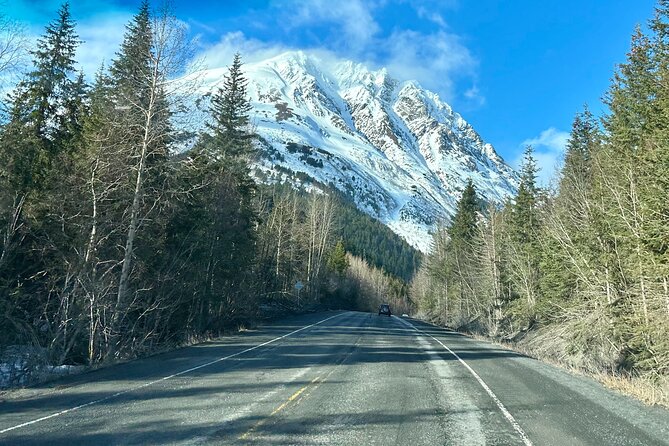 Seward: To Anchorage Full Day Transit Tour with Port Pickup - Following the Chugach Mountains and Turnagain Arm