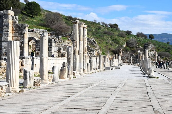 Shore Excursion: 3 Hours Easy Ephesus Private & Group Tour - The Temple of Artemis and its single surviving pillar