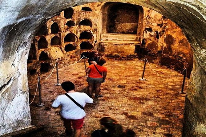 Shore Excursion: 4-Hour Cartagena Walking Tour - What the guides add to the day
