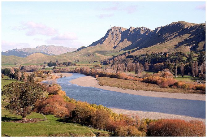 Shore Excursion: 4-Hour Discover Hawkes Bay and Napier Tour - A smart first look at Hawke’s Bay