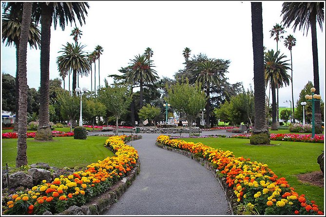 Shore Excursion: 4-Hour Discover Hawkes Bay and Napier Tour - Napier’s Art Deco rebuild