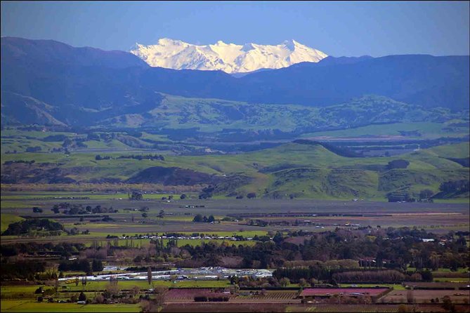 Shore Excursion: 4-Hour Discover Hawkes Bay and Napier Tour - Arataki Honey in Havelock North