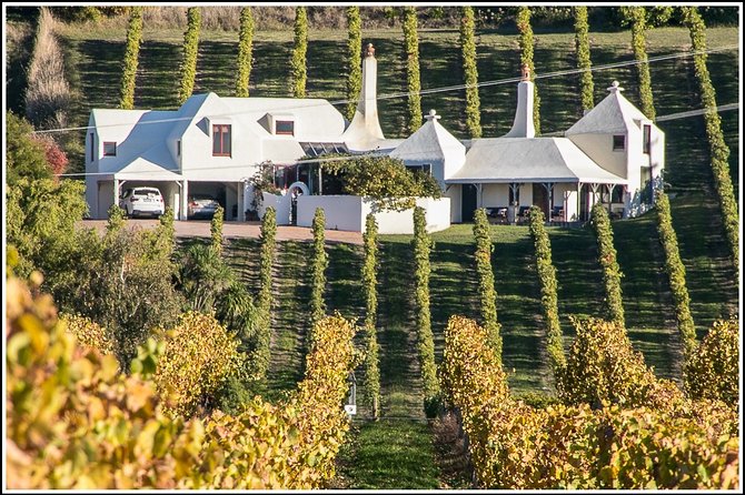 Shore Excursion: 4-Hour Discover Hawkes Bay and Napier Tour - Te Mata Peak at 399 meters