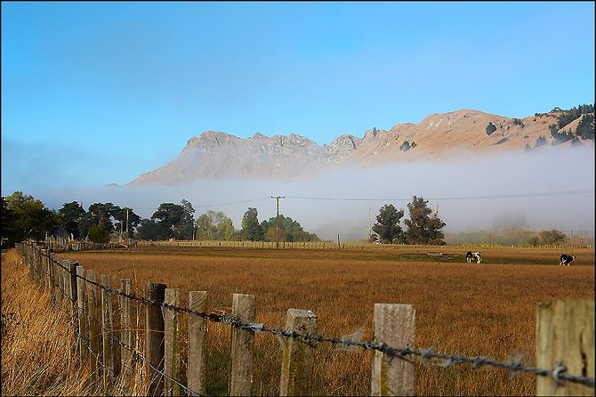 Shore Excursion: 4-Hour Discover Hawkes Bay and Napier Tour - What the guide adds to the day