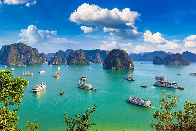 Shore Excursion: Amazing Day Cruise at Ha Long Bay - Sung Sot Cave and Its Long Stairway