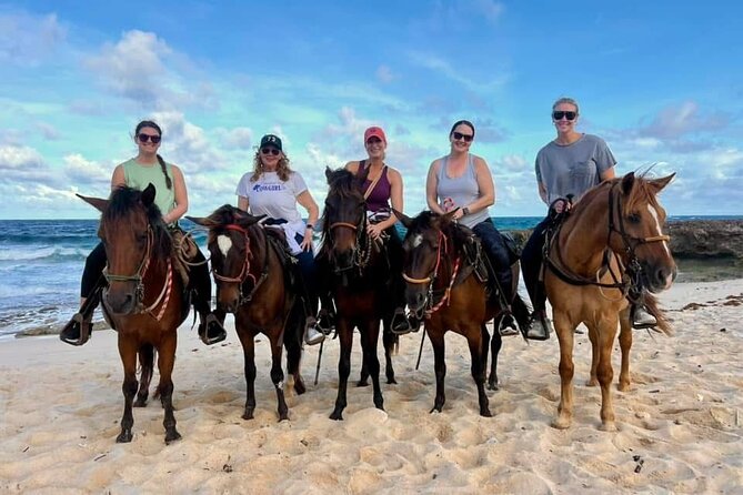 Shore Excursion Aruba’s Ecological and Beach Horseback Riding - From the Cruise Terminal to El Paseo Ranch