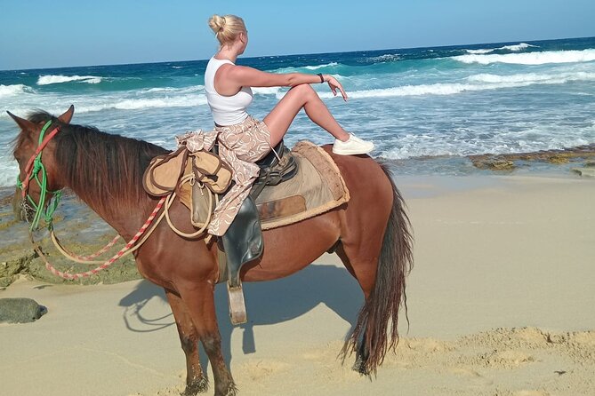 Shore Excursion Aruba’s Ecological and Beach Horseback Riding - Is the $95 Price Good Value?